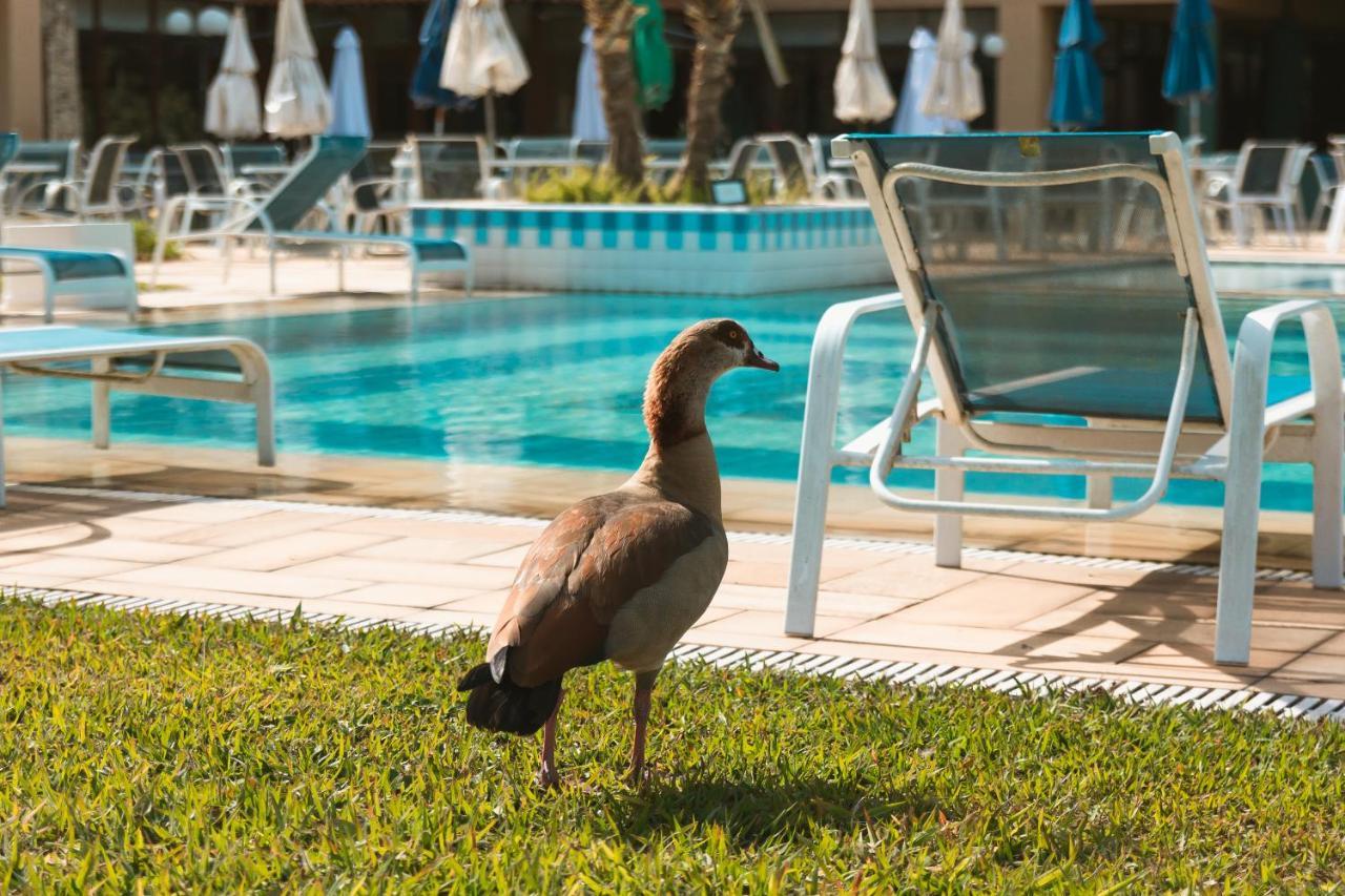 Villa Itaipava Resort & Conventions Buitenkant foto